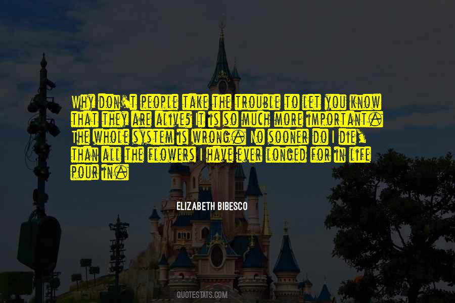 Trouble Life Quotes #131719