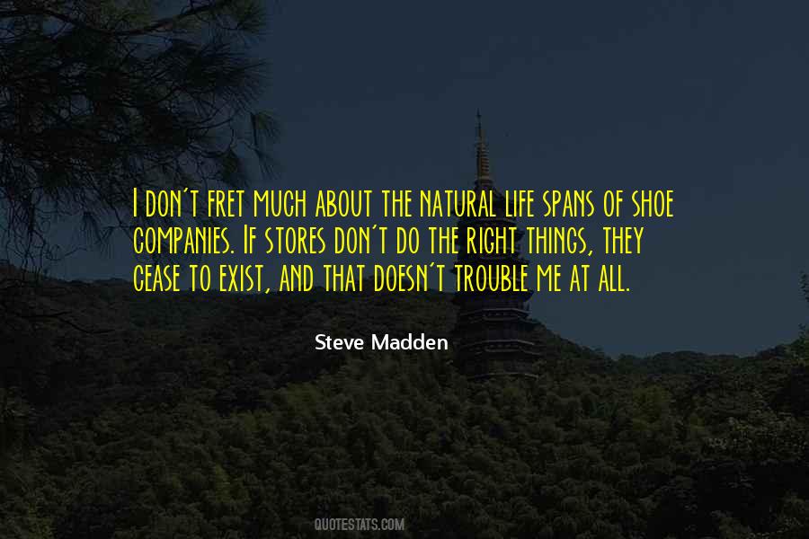 Trouble Life Quotes #225223