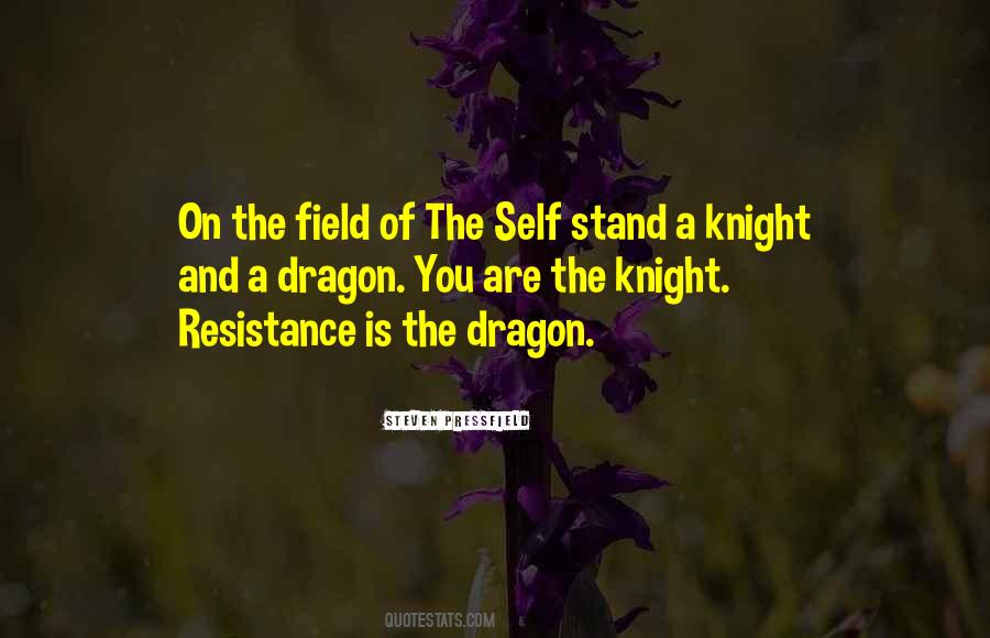 Dragon Knight Quotes #271325
