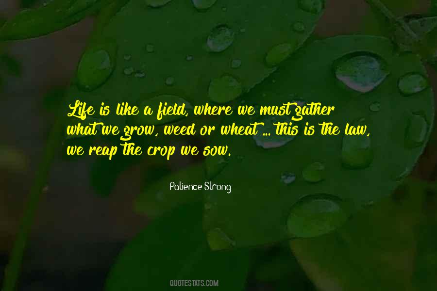 What You Sow You Will Reap Quotes #1424265