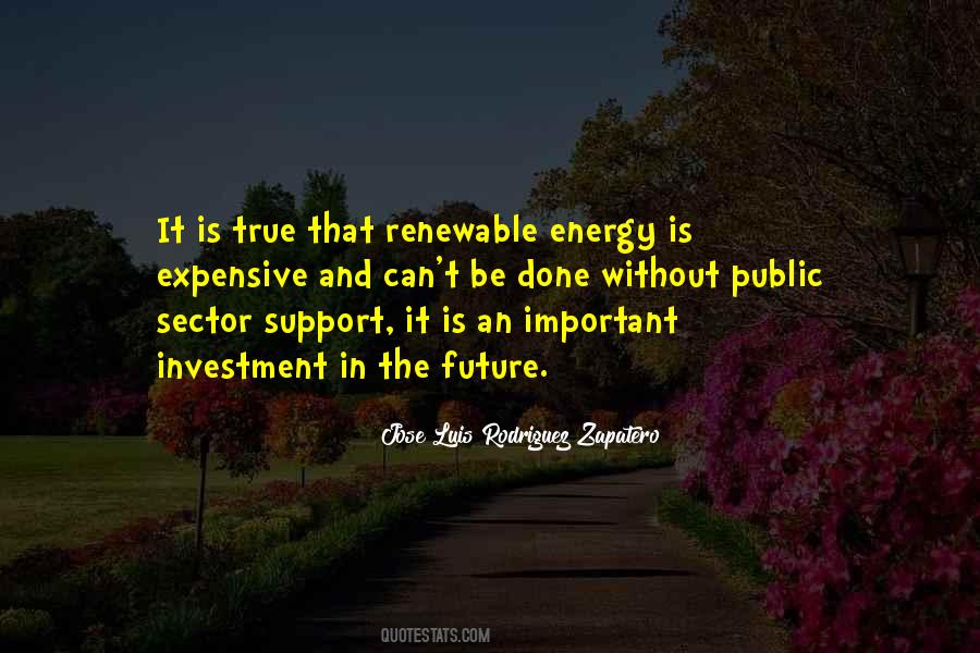 Energy Future Quotes #342453
