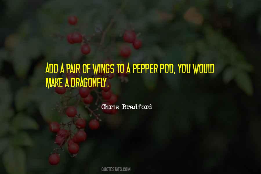 Dragonfly Wings Quotes #1593126