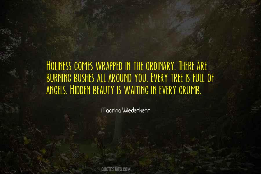 Beauty Is Hidden Quotes #327295