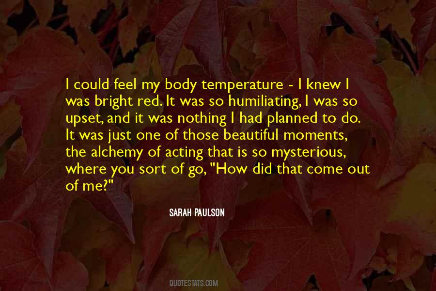 Beautiful Mysterious Quotes #91071