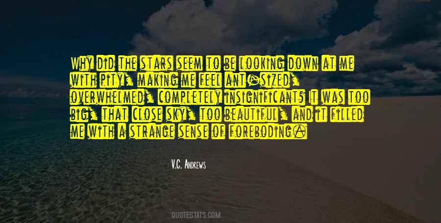 Feel Pity Quotes #1532000
