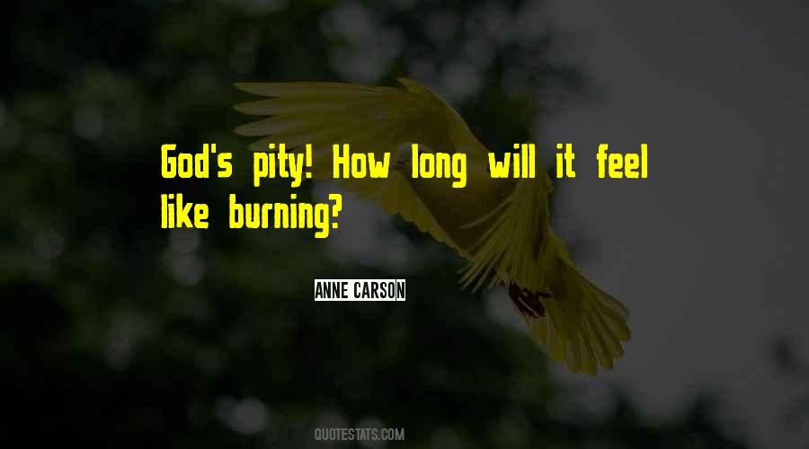 Feel Pity Quotes #830988