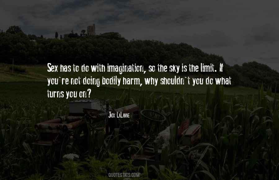 What Is Imagination Quotes #1006713