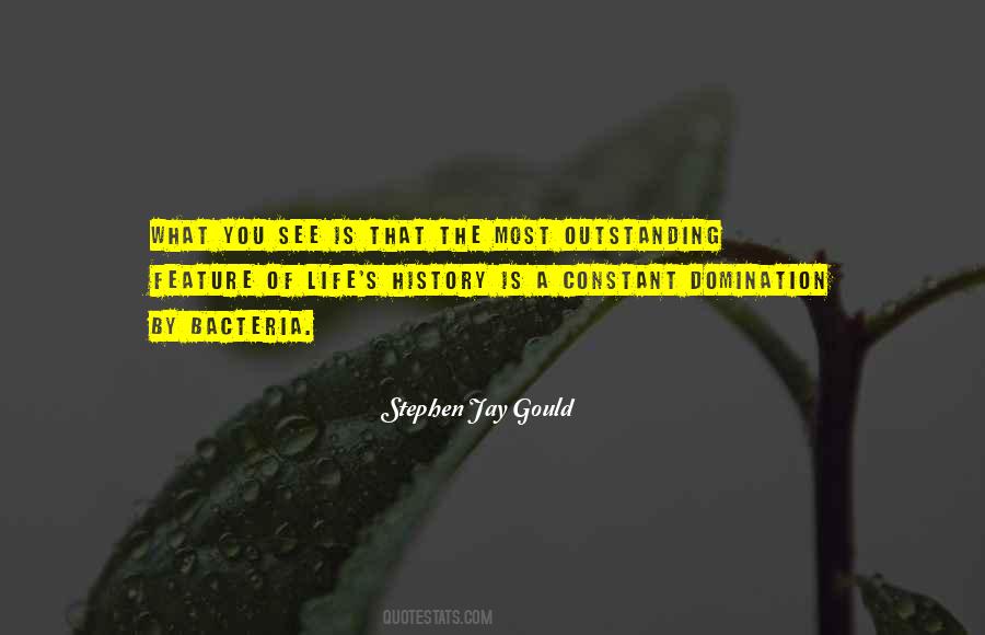 What You See Is What You See Quotes #228664