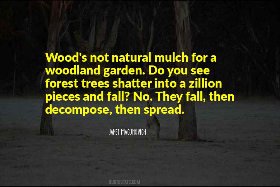 Tree Fall Quotes #123656