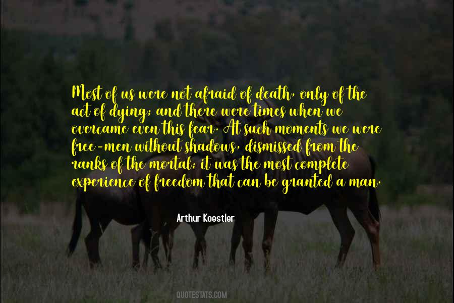 From The Shadows Quotes #374956