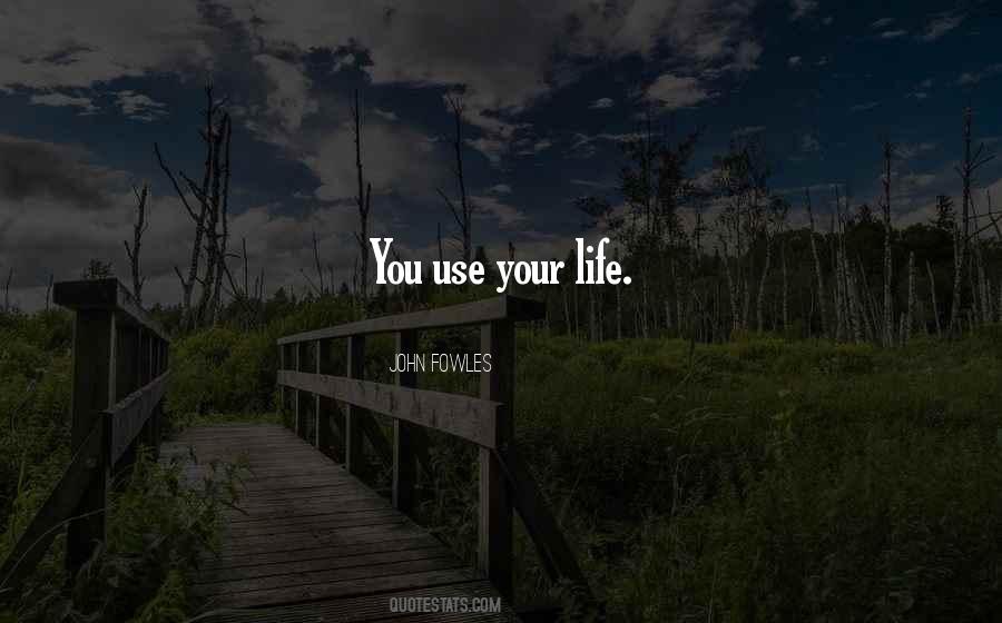 Use Your Life Quotes #94057