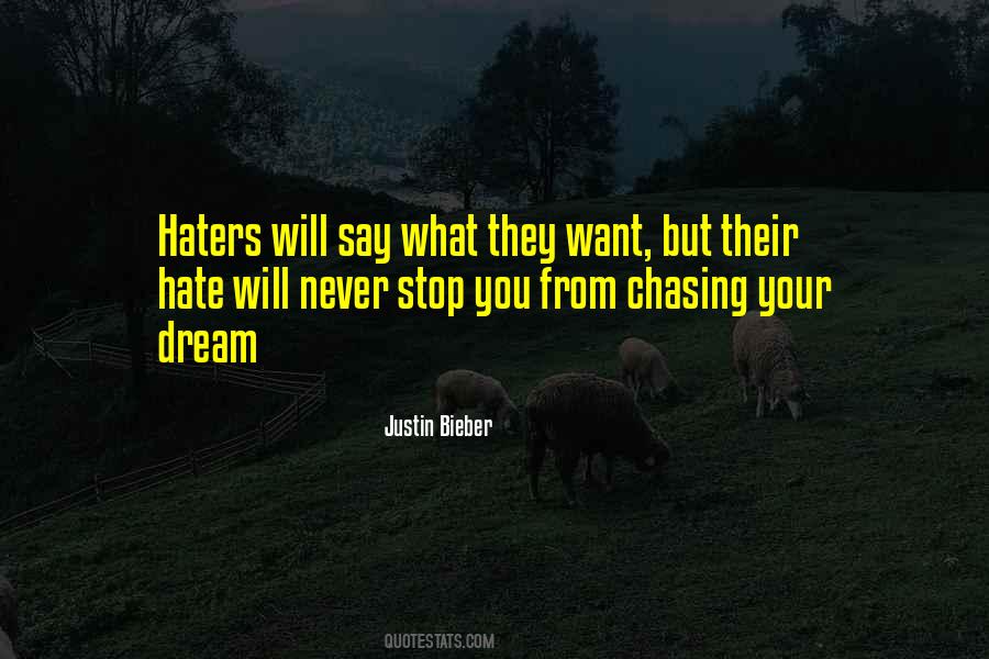 Hate Haters Quotes #595805