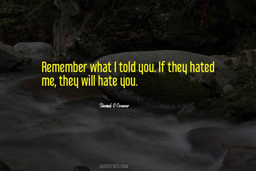 Hate Haters Quotes #839465