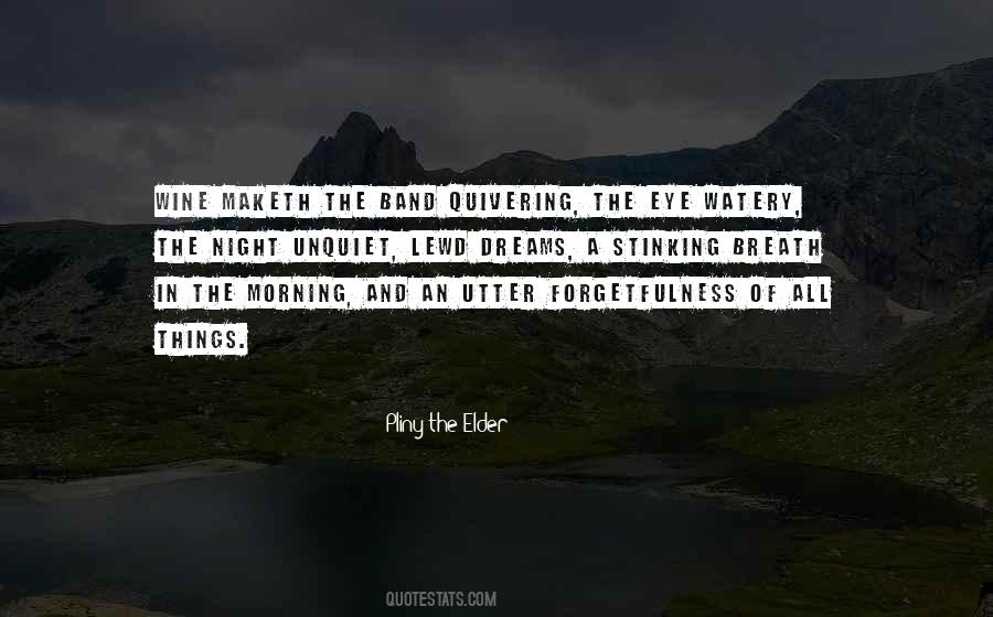 Dream In The Night Quotes #1034850