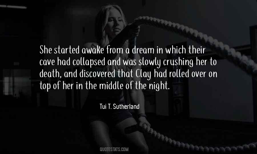 Dream In The Night Quotes #792812