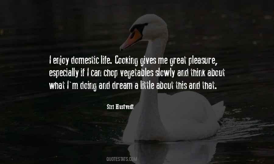 Dream Killer Quotes #1510284