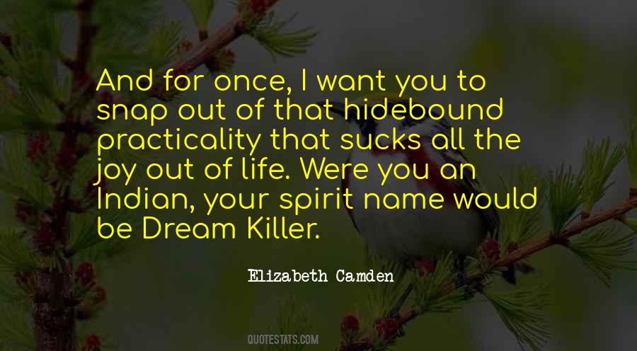 Dream Killer Quotes #1642373
