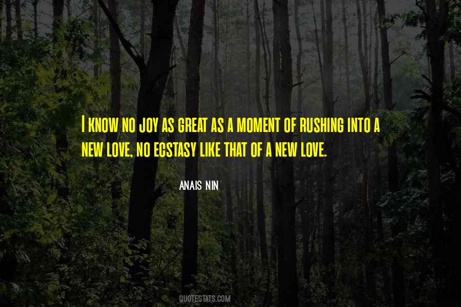 Joy Moment Quotes #348978