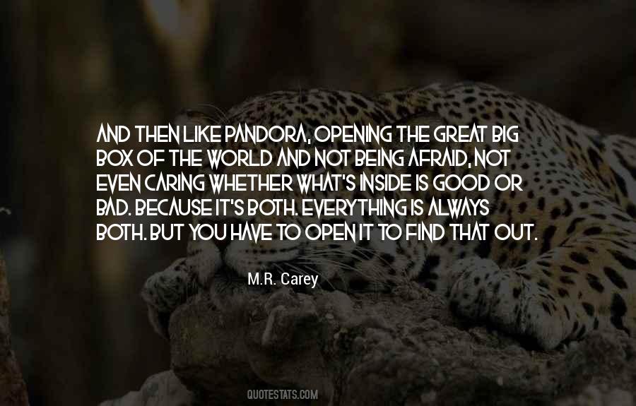 What You Have Inside Quotes #1241418