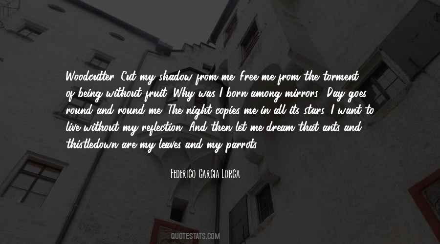 Dream Of Me Quotes #143760
