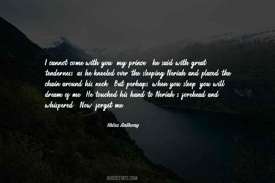Dream Of Me Quotes #346846