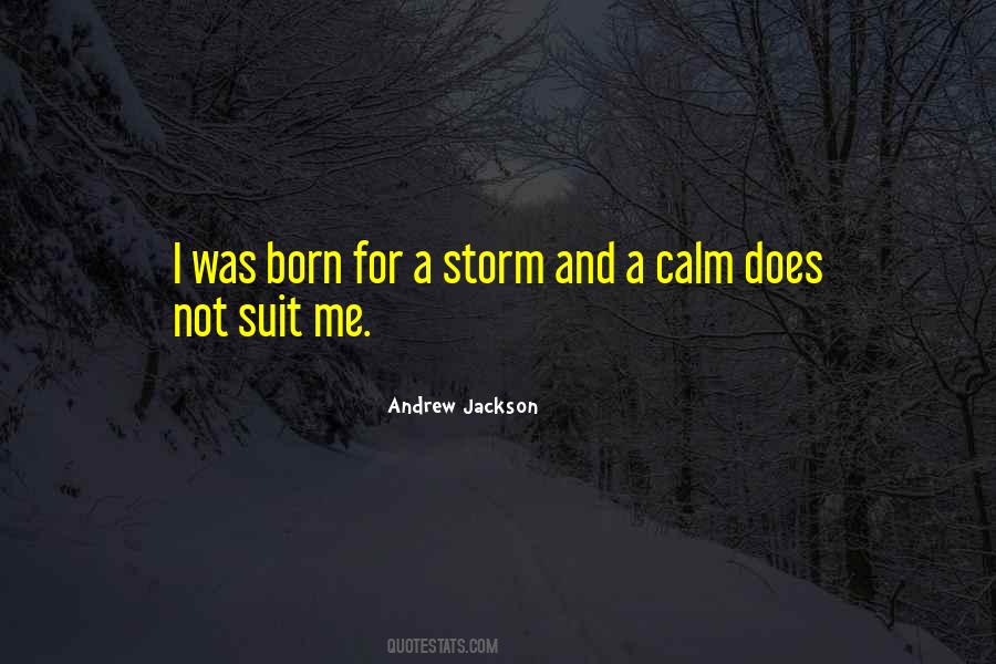 Quotes About Calm And Storm #1303879