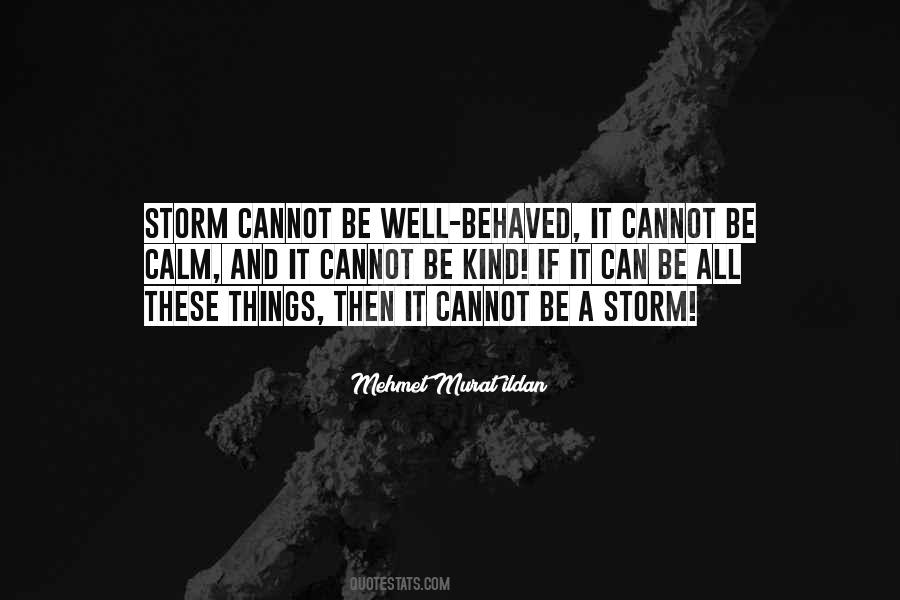 Quotes About Calm And Storm #1336200