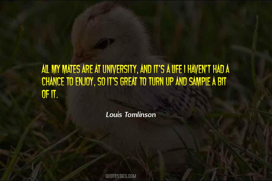 Quotes About My University #130331