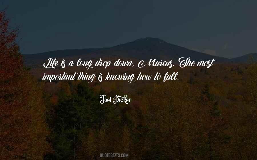 Important Long Quotes #695184