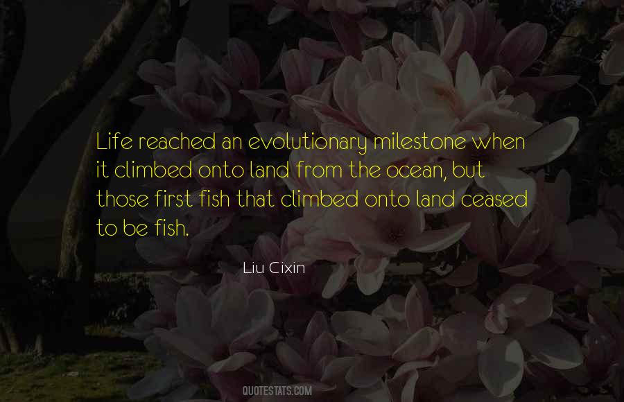 Inspirational Fish Quotes #747695