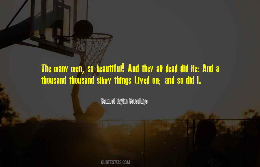 So Many Beautiful Things Quotes #603778