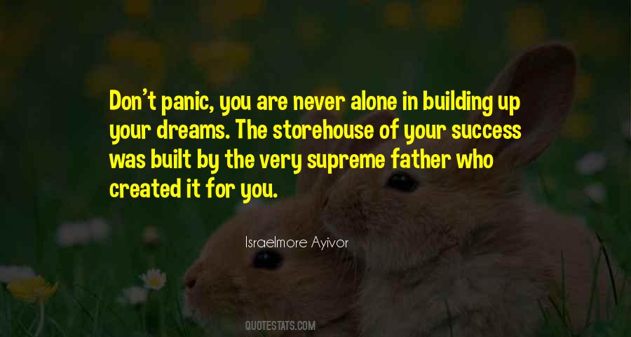 Dreams For My Father Quotes #490341
