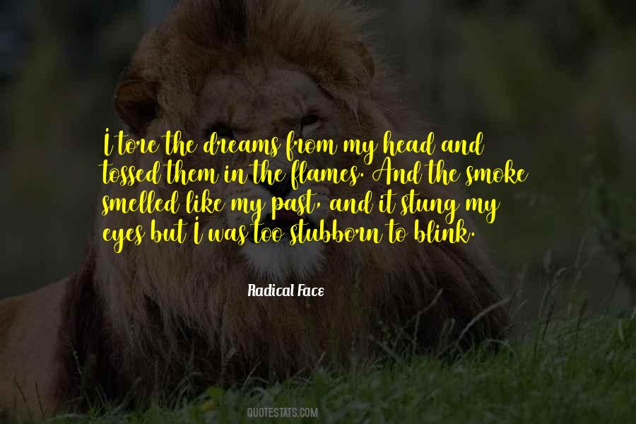 Dreams In My Eyes Quotes #136025