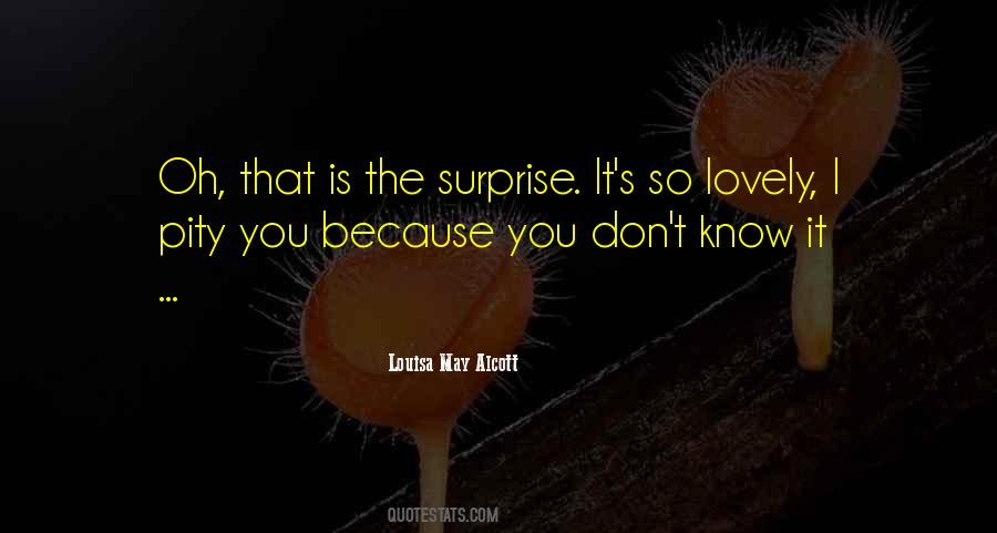 What A Lovely Surprise Quotes #512308