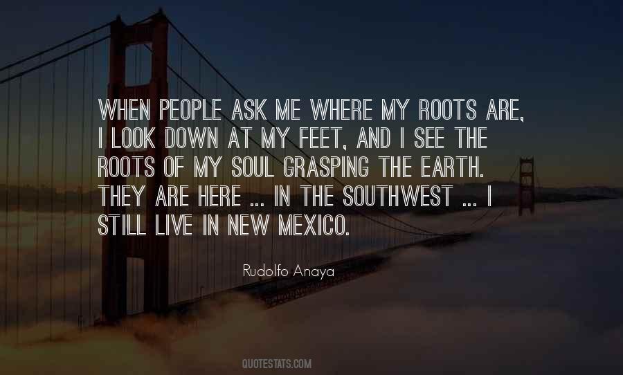 My Roots Quotes #548320