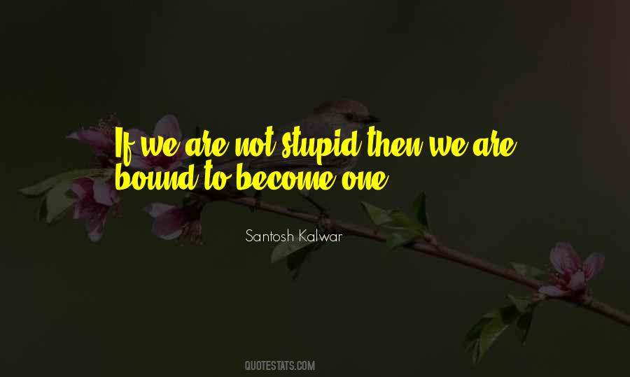 Stupid Stupid Stupid Quotes #27297