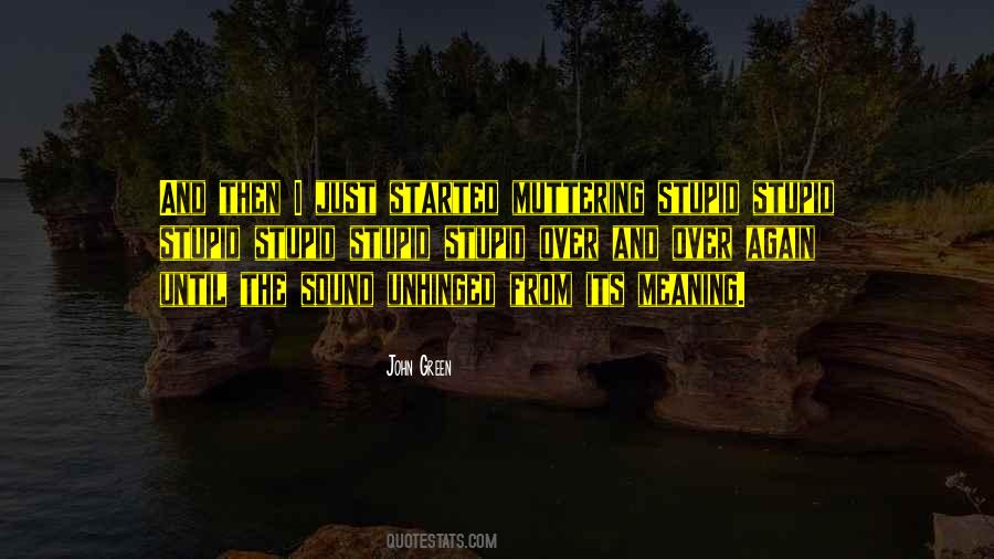 Stupid Stupid Stupid Quotes #734117