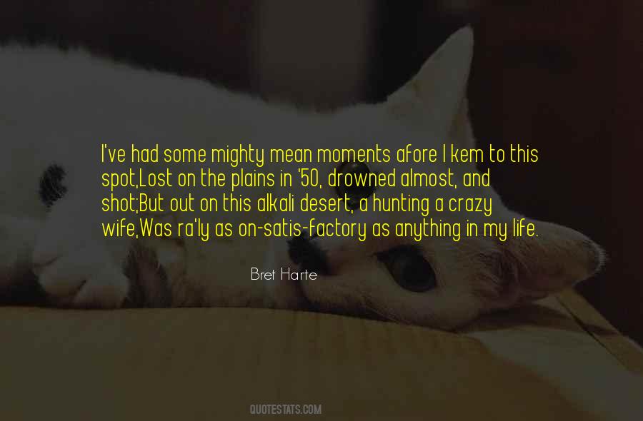 Crazy Wife Quotes #1095756