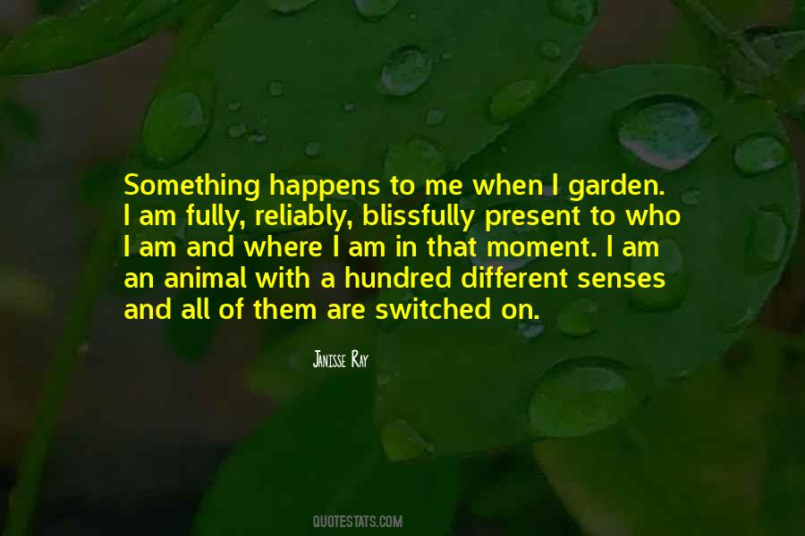 Where I Am Quotes #1235478