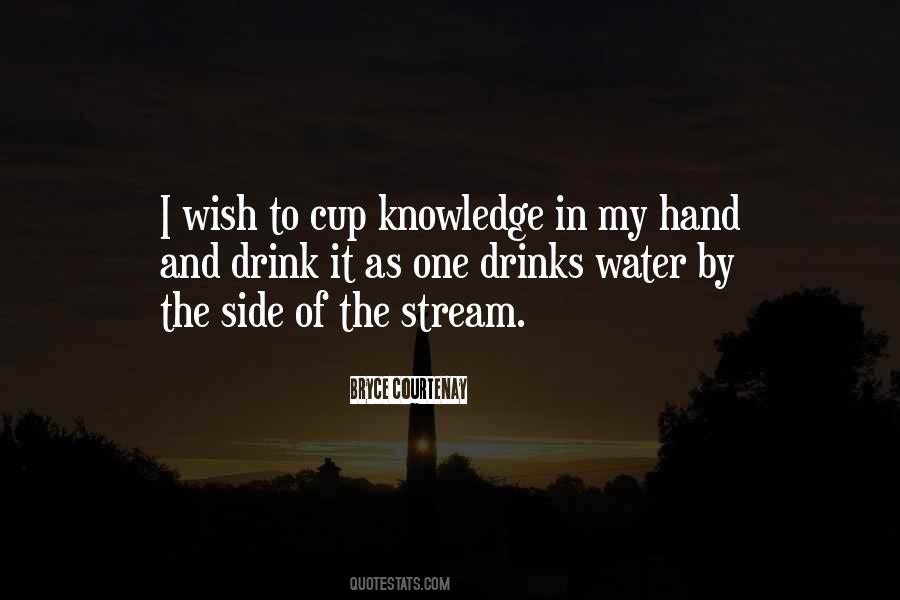 Drink In My Hand Quotes #967798