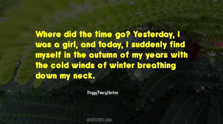 Where Did Time Go Quotes #844826