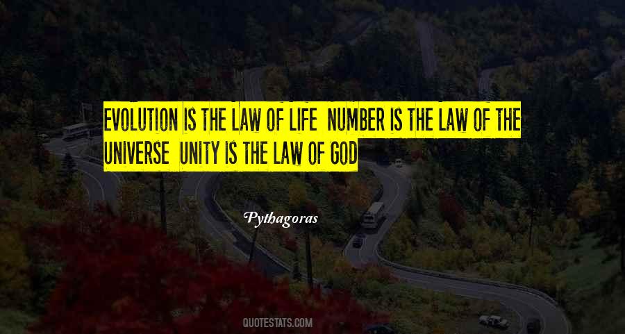 The Law Of Life Quotes #1598026