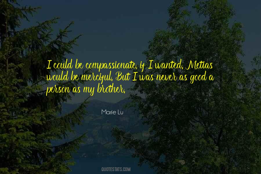 Be A Good Brother Quotes #910999