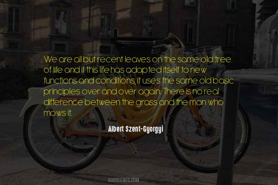Principles Of Philosophy Quotes #866596