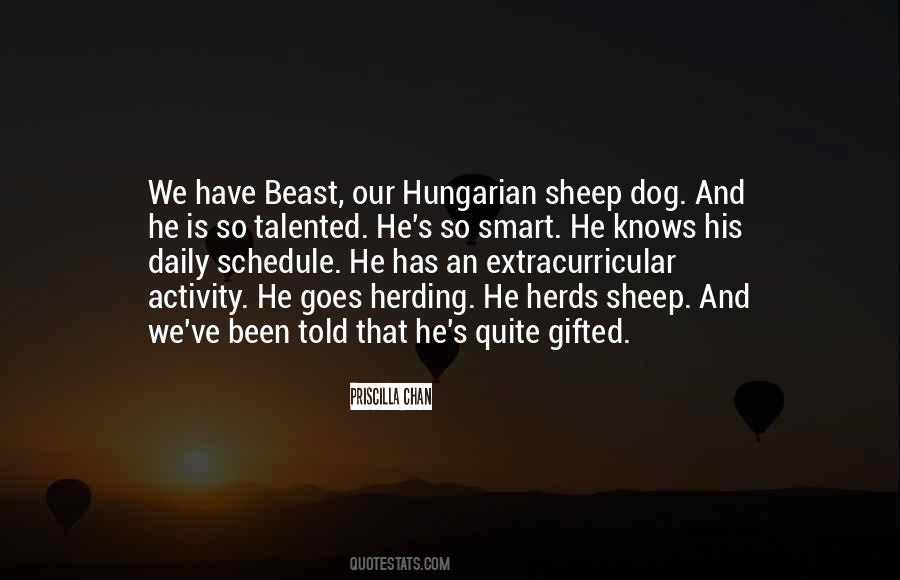 Smart Dog Quotes #968126