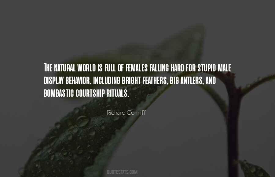 Fall Hard Quotes #571176