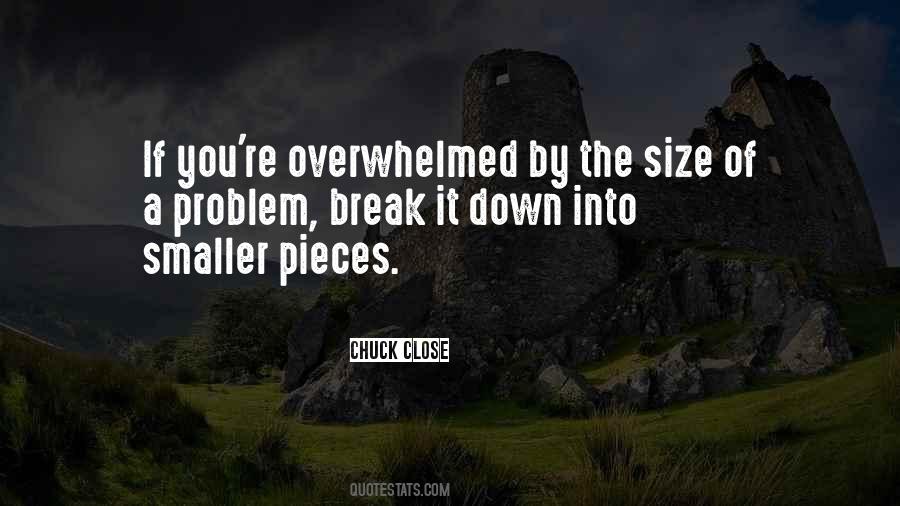 Break It Down Into Smaller Pieces Quotes #1426641
