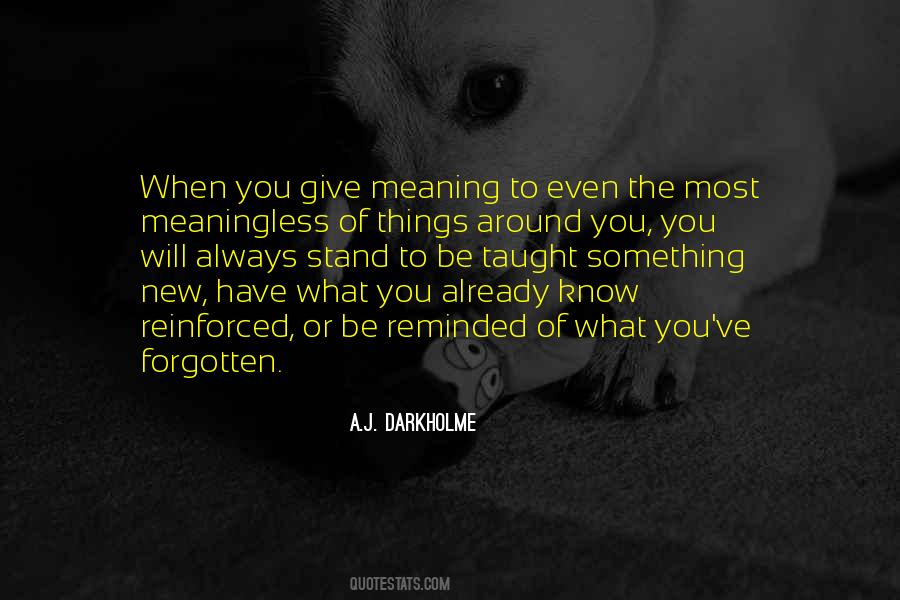 Quotes About The Meaning Of Things #391963