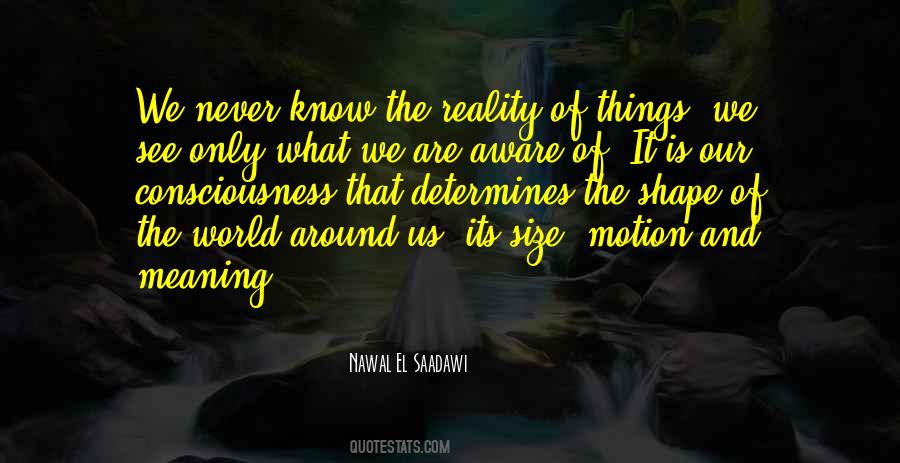 Quotes About The Meaning Of Things #40229