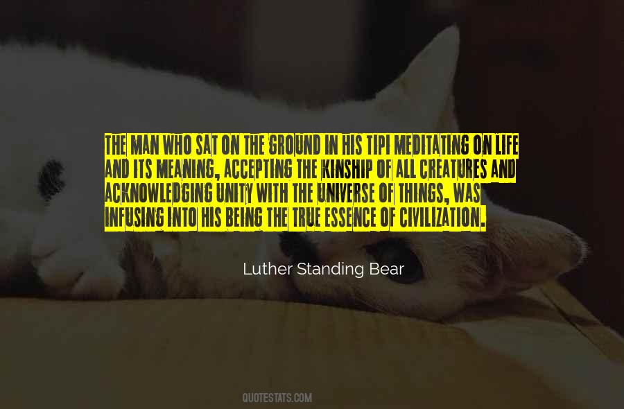 Quotes About The Meaning Of Things #463499